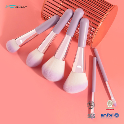 6PCS de Kosmetische die Borstel van Mini Gift Makeup Brush Set met Twee Kleuren Synthetisch Haar wordt geplaatst