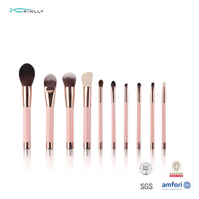 Plastic de Borstelsreis Kit Cosmetics Beauty Tools van de Handvat10pcs Make-up