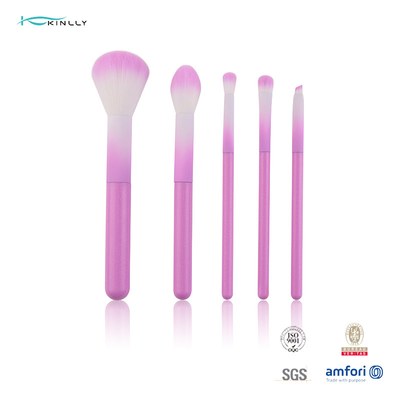 Kleurrijke Kosmetische die de Make-upborstel van 5pcs met roze Plastic Handvat wordt geplaatst