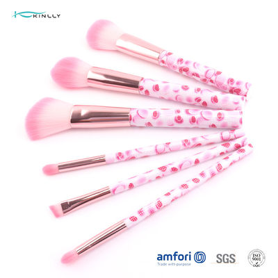 De roze Nylon Kosmetische Borstel Vastgestelde 6pcs van de Haar Plastic reis met Aluminiummetalen kap