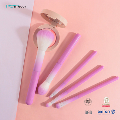 Kleurrijke Kosmetische die de Make-upborstel van 5pcs met roze Plastic Handvat wordt geplaatst