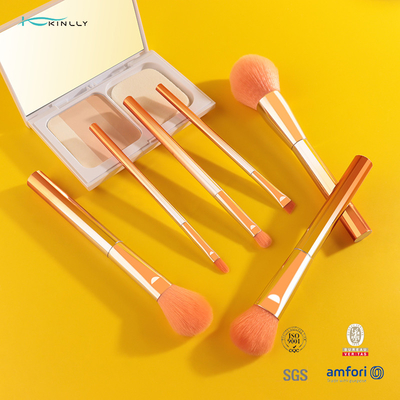Het duidelijke Plastic van de de Make-upborstel 6PCS van de Handvatreis Oranje Nylon Haar