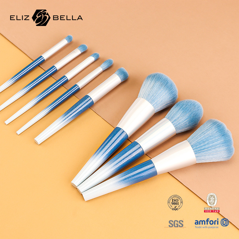 10pcs schoonheid benodigdheden plastic handvat reis make-up borstel set met synthetisch haar, OEM bestellingen zijn welkom