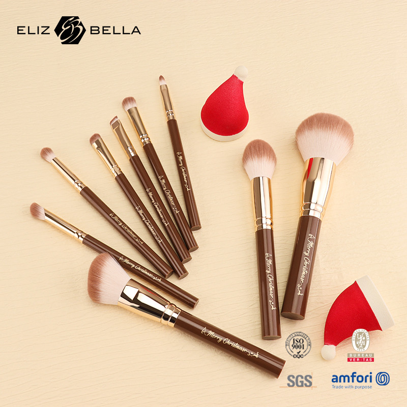 Reis make-up borstel set gebruikt met BLUSHER, CONCEALER, wenkbrauwen potlood, Eyeliner,OEM / ODM bestellingen welkom