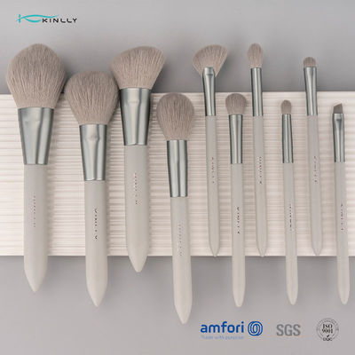 OEM 10PCS Nano Borstel van de Luxemake-up voor Gezicht wordt geplaatst dat